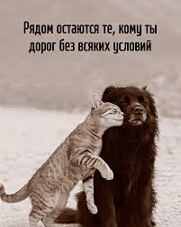 ером в долине и темными силуэтами деревьев в переднем плане, разделенное на панели черной рамой окна.